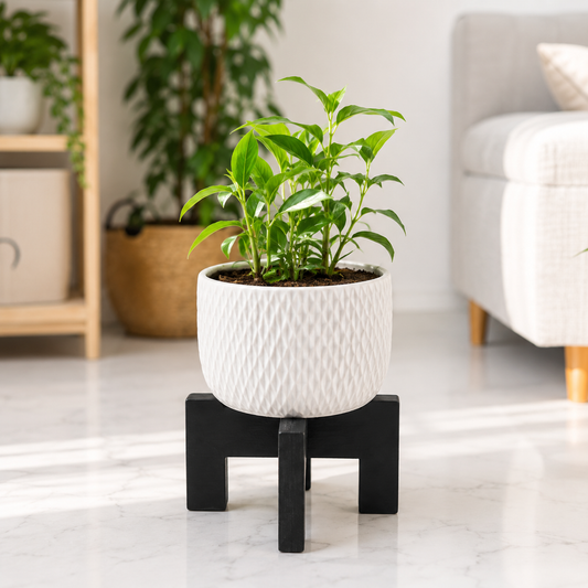 Wooden Plant Stand for Indoor Plants - Modern Flower Pot Stand | Small Pot Holder for Home Decor | Plant Display Riser for Living Room Balcony Desk | 16x16cm (Pot Not Included)