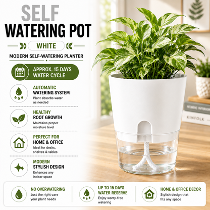 Self Watering Pot for Indoor Plants - 8 Vibrant Colors | Modern Design | Automatic Watering System | Best for Office Decor , Home Decor | Stylish Design Pot | Approx 15 Days Water Circle |